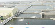 养殖信息,分析、优化与未来展望