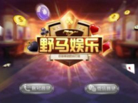 野马娱乐官方,打造潮流娱乐新势力，引领行业风向标