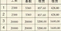 养老金个人缴纳比例,养老金个人缴纳比例解析与影响