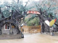 蝴蝶谷中文娱乐网2,探寻东方梦幻乐园的奇幻之旅